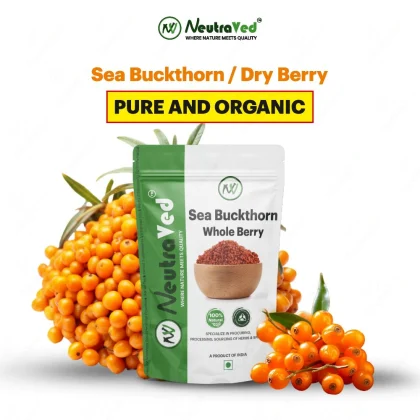 Sea Buckthorn Whole Dried Himalayan Leh Berries image 6